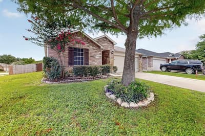 127 Abelia Drive, Fate TX 75189 - Photo 4
