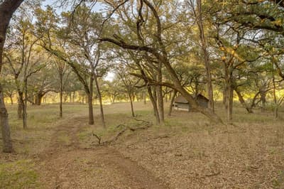 51 Cattle Trail Trail, Palo Pinto TX 76484