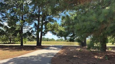 5337 Dusty Road, Athens TX 75752 - Photo 3