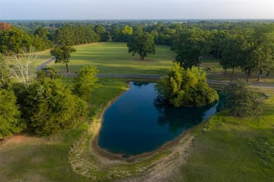 10457 State Highway 110, Van TX 75790 - Photo 5