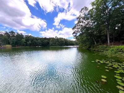 254 CR 4595, Winnsboro TX 75494 - Photo 5