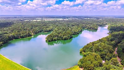 254 CR 4595, Winnsboro TX 75494 - Photo 4
