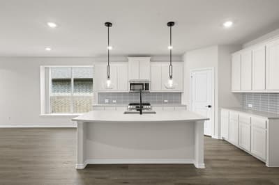 7325 Lavender Lane, Ponder TX 76259 - Photo 4