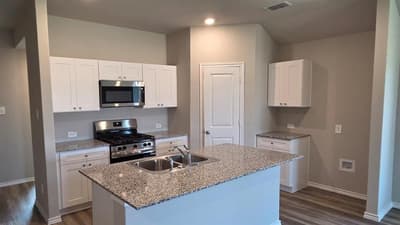 16545 HUDSON PRAIRIE Way, Justin TX 76247 - Photo 3