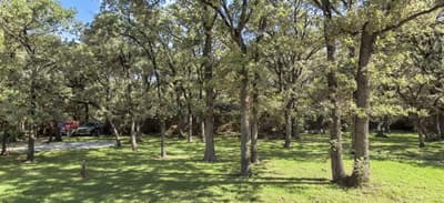 2320 Los Robles Drive, Grapevine TX 76051