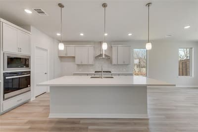 15028 Pizarro Court, Little Elm TX 75068 - Photo 4
