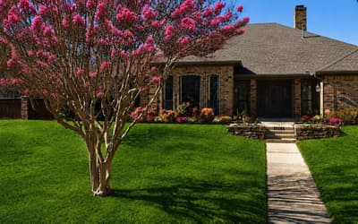 1511 Green Tree Lane, Duncanville TX 75137