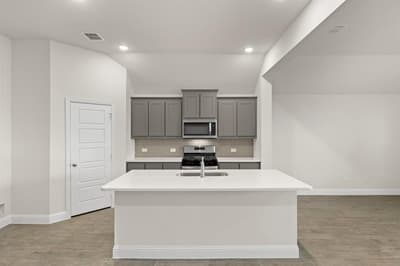 117 Meadow Road, Balch Springs TX 75181 - Photo 3