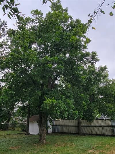 3513 BlueBird Street, Waco TX 76705 - Photo 4
