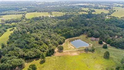 253 County Road 2412, Winnsboro TX 75471 - Photo 3