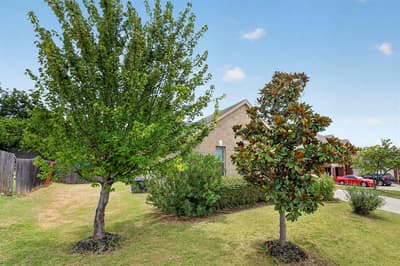 119 Matamoros Street, Grand Prairie TX 75051 - Photo 4