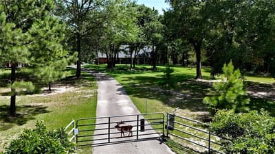 5611 Fm 2494, Athens TX 75751 - Photo 3