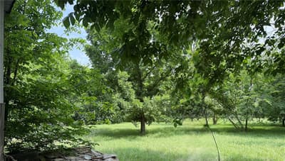 902 Quail Run, Cleburne TX 76031 - Photo 2