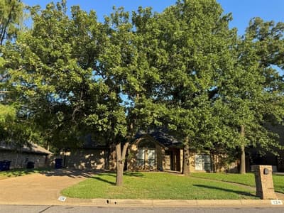 124 Brushy Mound Road, Burleson TX 76028 - Photo 3