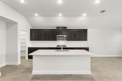 121 Whistling Duck Drive, Balch Springs TX 75181 - Photo 4