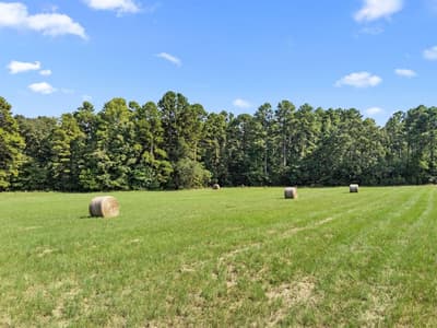 1081 County Road 3875, Mineola TX 75773 - Photo 4