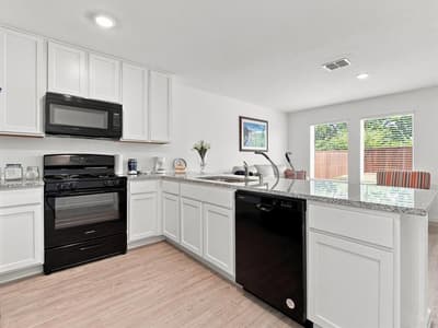 12117 Falabella Drive, Providence Village TX 76227 - Photo 5