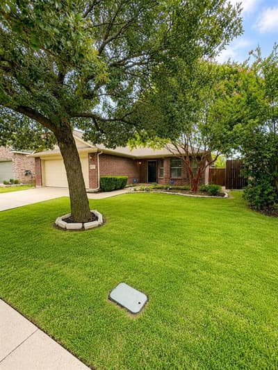 1516 Canary Drive, Little Elm TX 75068 - Photo 3