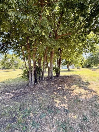 90 2nd Street, Honey Grove TX 75446 - Photo 2