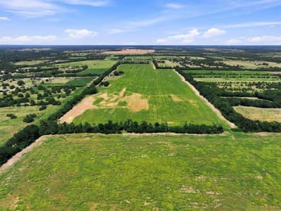 12097 Kyle Lane, Blue Ridge TX 75424 - Photo 5