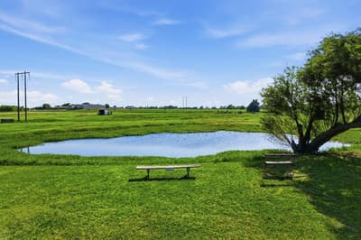 685 W Line Road, Whitesboro TX 76273 - Photo 4