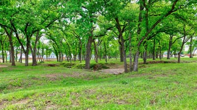 3504 Stealth Run, Hurst TX 76054 - Photo 5