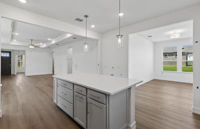 4501 Snead Street, Celina TX 75009 - Photo 4