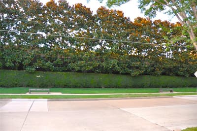 8722 Angora Street, Dallas TX 75218 - Photo 5