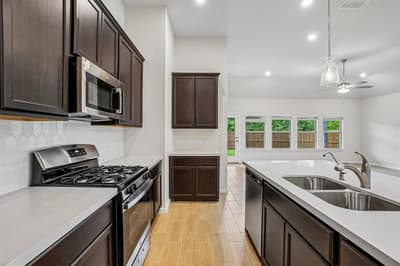 3205 Royal Forest Drive, Denton TX 76208 - Photo 4
