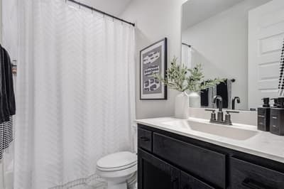 4029 Crepe Myrtle Street, Aubrey TX 76227 - Photo 5