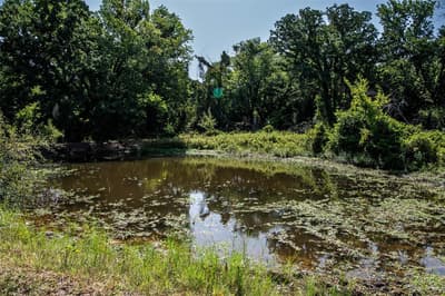 148 Private Road 169, Sunset TX 76270 - Photo 2
