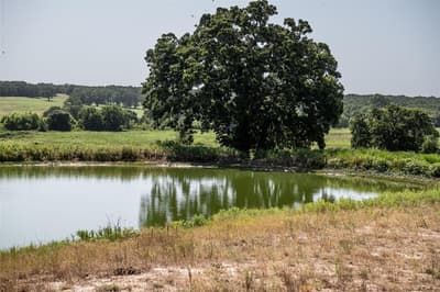 148 Private Road 169, Sunset TX 76270 - Photo 4