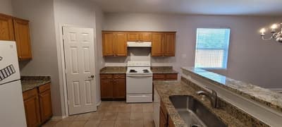 2604 Winterberry Lane, Little Elm TX 75068 - Photo 3
