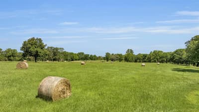 365 County Road 1534, Alba TX 75410 - Photo 5