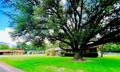 114 Harred Street, Sulphur Springs TX 75482 - Photo 4