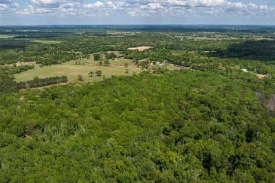 3672 E FM 1861, Athens TX 75752 - Photo 5