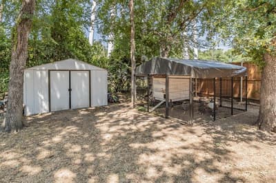 909 Shady Oaks, Bridgeport TX 76426 - Photo 5