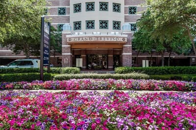 330 E Las Colinas Boulevard E # 240, Irving TX 75039 - Photo 2