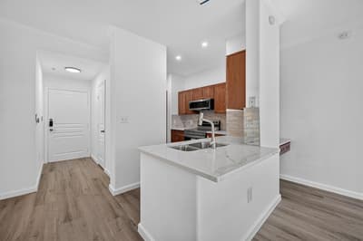 330 E Las Colinas Boulevard E # 240, Irving TX 75039 - Photo 5