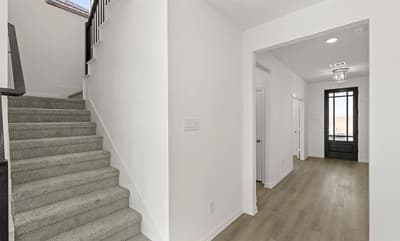 4307 Bellflower Lane, Melissa TX 75454 - Photo 5