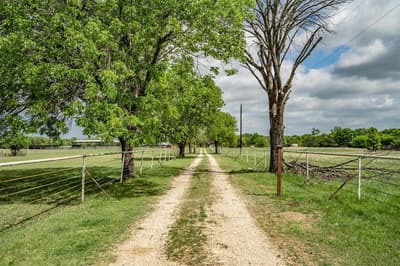 3135 County Road 427, Anna TX 75409 - Photo 4