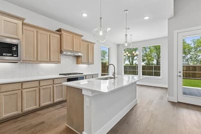 1013 Goldenrod Drive, Justin TX 76247 - Photo 5