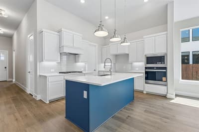 1005 Goldenrod Drive, Justin TX 76247 - Photo 4