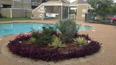 4113 Esters Road # 604, Irving TX 75038