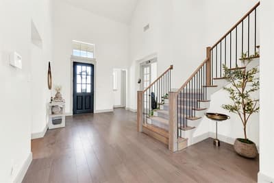 10067 Clover Forest Court, Frisco TX 75035 - Photo 3