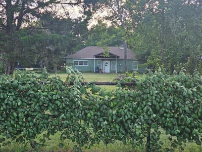 138 County Road 4876, Newark TX 76071 - Photo 5