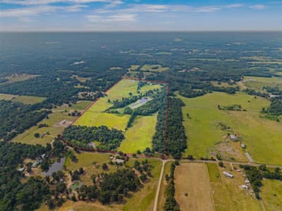 3349 E State Highway 154, Quitman TX 75783 - Photo 3