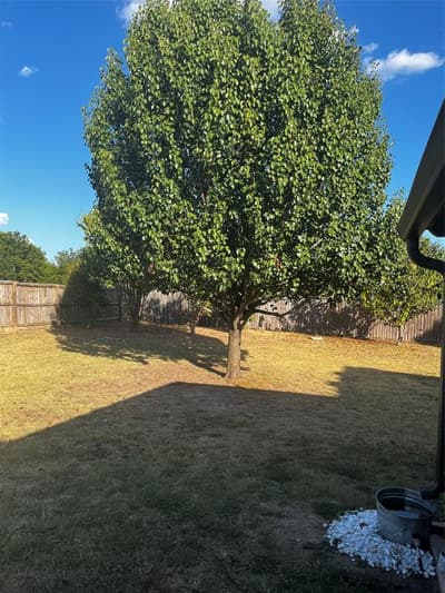 1705 Melody Circle, Kaufman TX 75142 - Photo 3