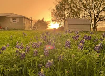 4410 Fm 118, Greenville TX 75401 - Photo 2