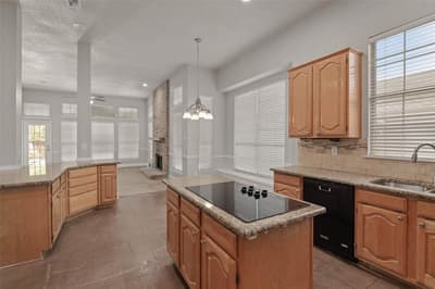 4508 Lake Ridge Drive, The Colony TX 75056 - Photo 4